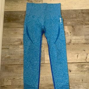 Rare gym sharks in blueberry color